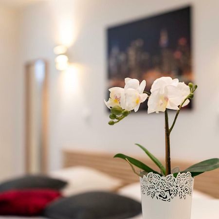 Citycosy Strasbourg - Studio Hirtz Orangerie Exteriör bild