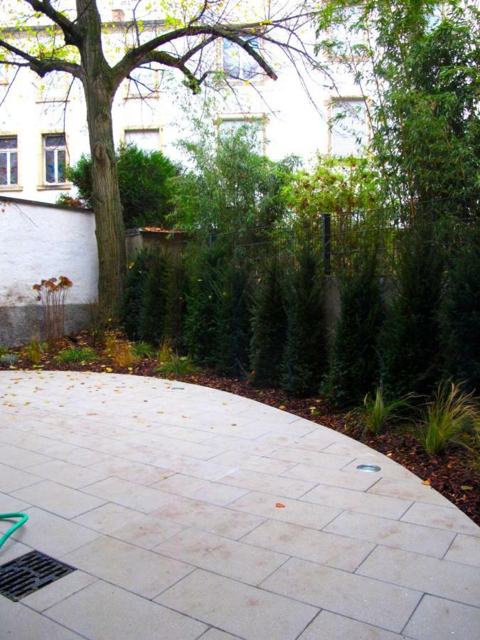 Citycosy Strasbourg - Studio Hirtz Orangerie Exteriör bild